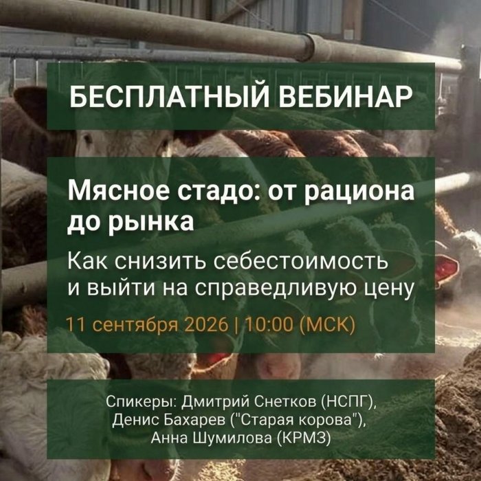 Вебинар для профессионалов мясного скотоводства: рацион, себестоимость, рынок